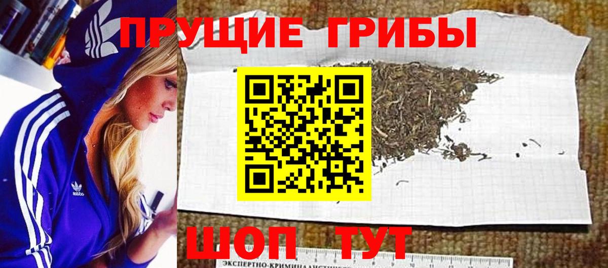 Псилоцибиновые грибы MAGIC MUSHROOMS  Вход с VPN  Краснознаменск 